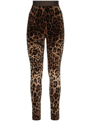 Leopard-print jacquard leggings, Dolce & Gabbana Leopard-print jacquard leggings
Leopard-print jacquard leggings, Dolce & Gabbana Leopard-print jacquard leggings