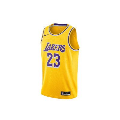 

LeBron James Lakers Icon Edition NBA Jersey (2020), Nike LeBron James Lakers Icon Edition NBA Jersey (2020)