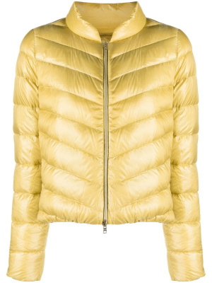 

Zip-fastening padded jacket, Herno Zip-fastening padded jacket