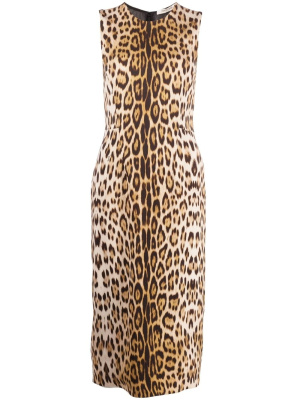 

Leopard-print midi dress, Roberto Cavalli Leopard-print midi dress