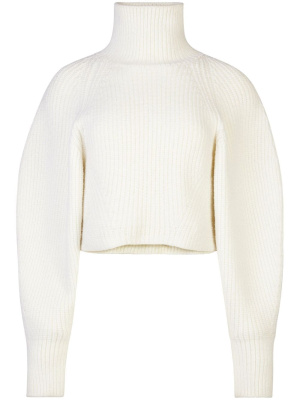

High-neck ribbed-knit jumper, Nina Ricci High-neck ribbed-knit jumper