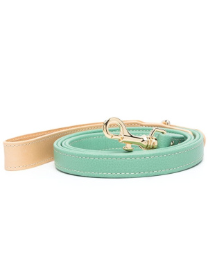 

Leather pet lead, Sporty & Rich Leather pet lead