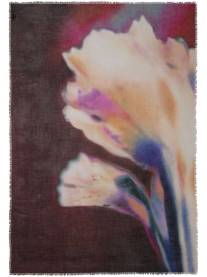 

Solarised Flower-print fringed scarf, Alexander McQueen Solarised Flower-print fringed scarf