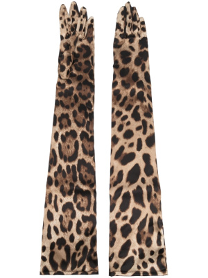 

Leopard-print long gloves, Dolce & Gabbana Leopard-print long gloves