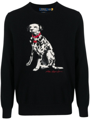 

Polo dog-embroidered cashmere jumper, Polo Ralph Lauren Polo dog-embroidered cashmere jumper