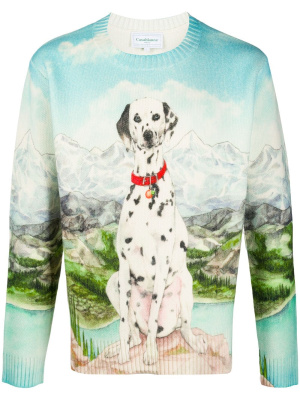 

Dalmatian print jumper, Casablanca Dalmatian print jumper