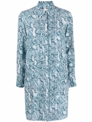 

Rougi snakeskin print mini dress, Zadig&Voltaire Rougi snakeskin print mini dress